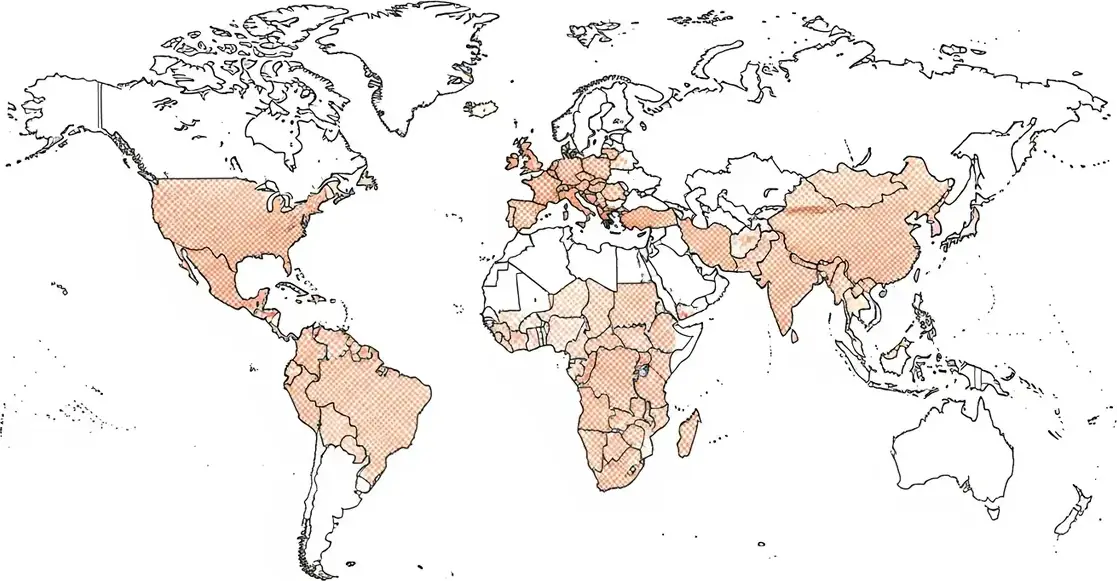 Carte des zones à risque · Hépatite B