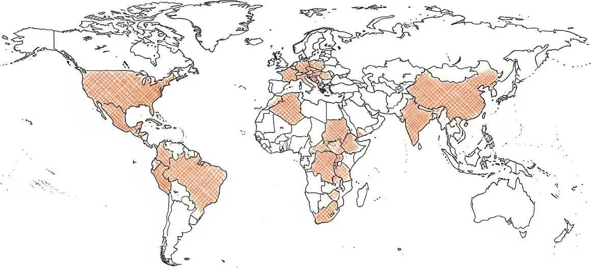 Carte des zones à risque · Typhoïde
